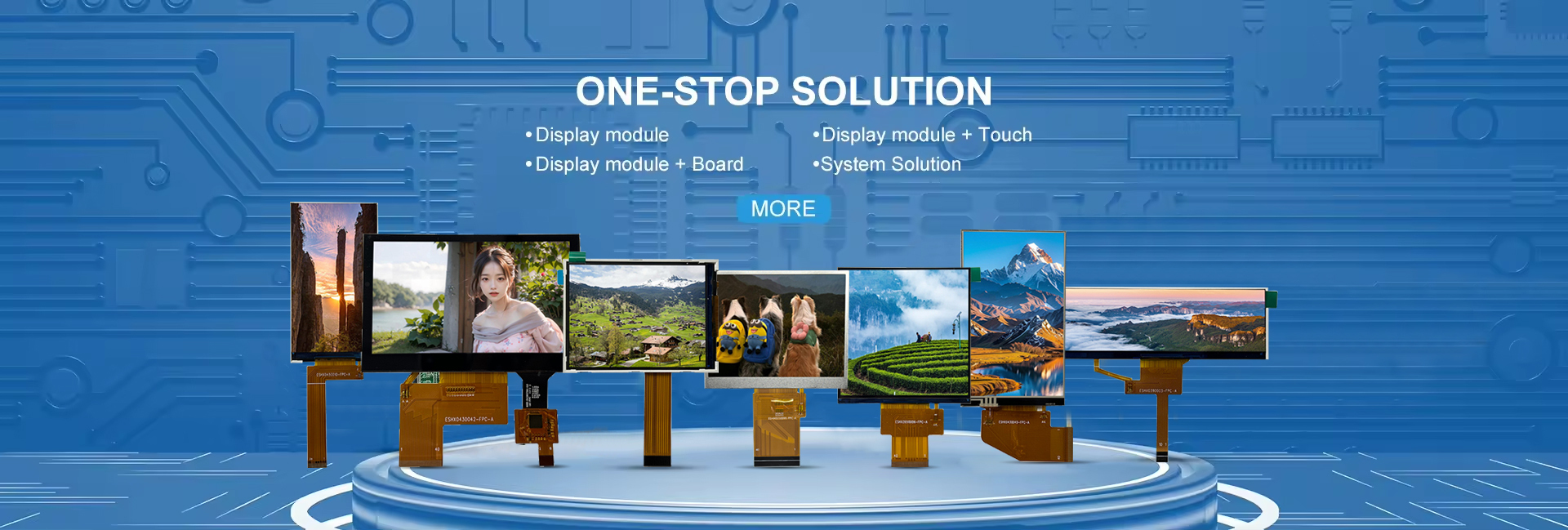 Qualité module d&#39;affichage LCD TFT usine